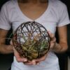 Photo by Kelly Sikkema woman in white crew neck t-shirt holding green plant