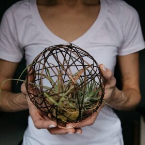 Photo by Kelly Sikkema woman in white crew neck t-shirt holding green plant