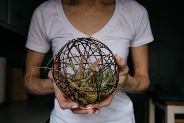 Photo by Kelly Sikkema woman in white crew neck t-shirt holding green plant